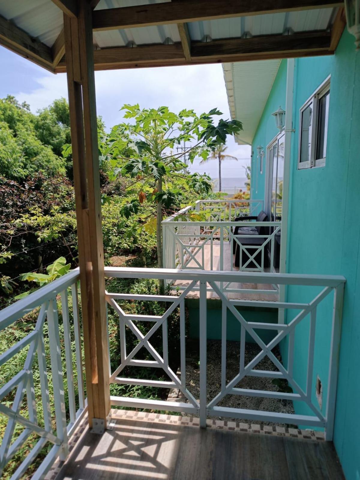 San AndrésBlue Lizard House别墅 外观 照片